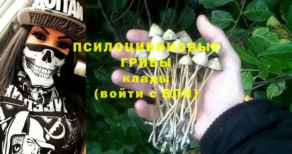 кокаин Бородино