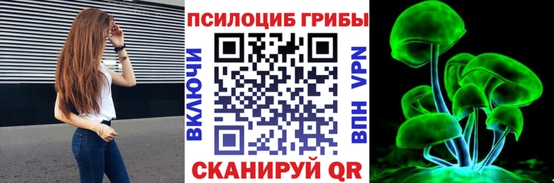 Галлюциногенные грибы Psilocybe  KRAKEN вход  Кострома  купить  цена 