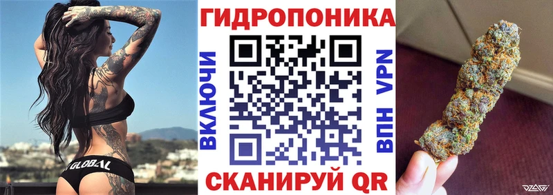 Конопля OG Kush  Кострома 